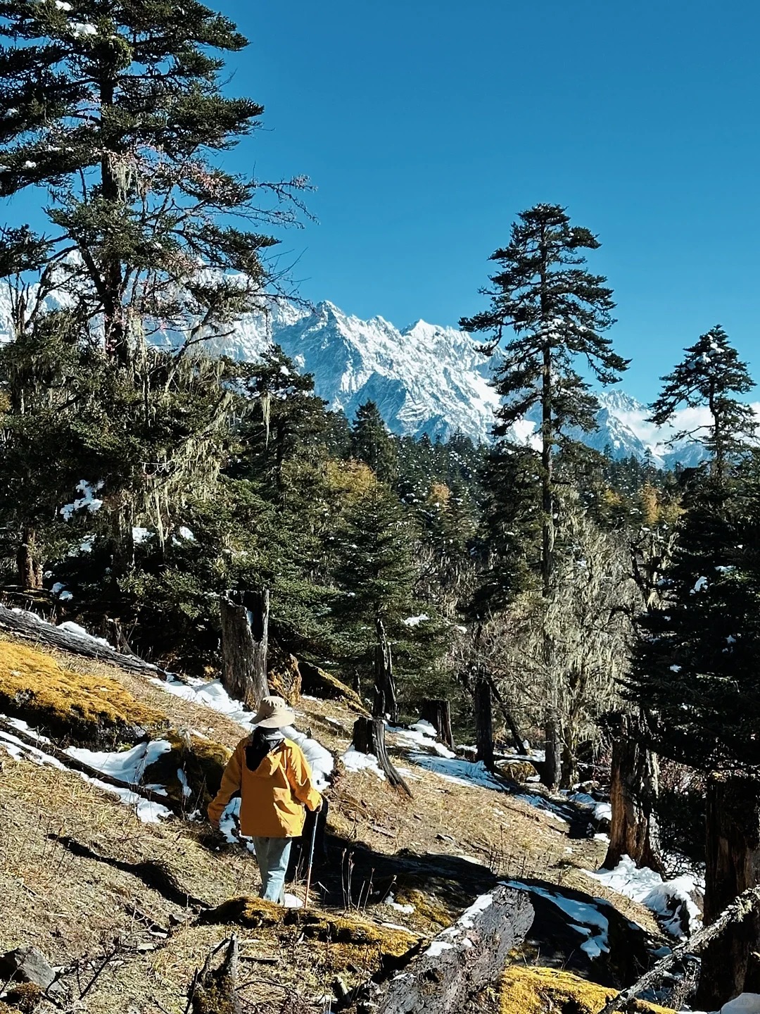 🏔香格里拉的淡季，才是真正的人间净土❗_2_曼星屿·雪海森林·哈巴雪山自然风景区_云南-香格里拉-来自52tours 我爱旅游网